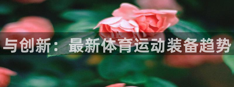 球客岛